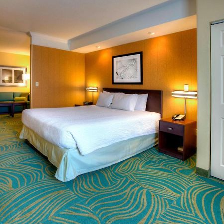 Springhill Suites By Marriott - Tampa Brandon Екстериор снимка
